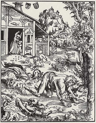 Cover for The Book of Were-Wolves