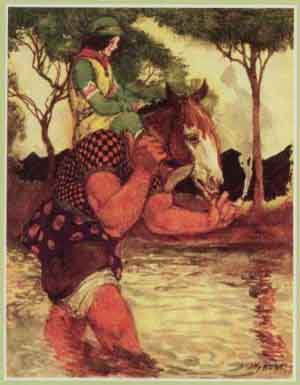 Cover for The King of Ireland's Son