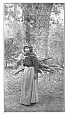 A WOOD GATHERER.<BR>
 As in all Indian tribes, the women do most of the work.