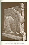 WINGED MAN-HEADED LION<br> <i>In Marble. From N.W. Palace of Nimroud; now in the British Museum</i>.<br> Photo. Mansell