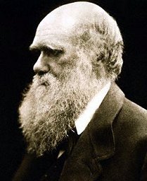 Charles Darwin, Photo by Julia Margaret Cameron (public domain image)