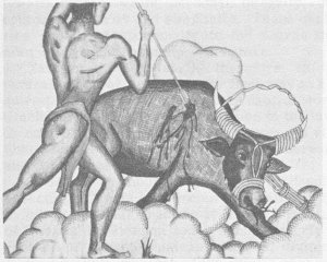 The Sacrifice of a water buffalo to   appease troublesome spirits