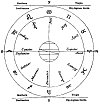 Diagram of the Sun's Motion in the Zodiac