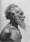 Fig. 7. Arunta Native, side face