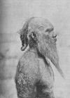 Fig. 9. Arunta Native, old man