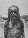 Fig. 11. Arunta Native, to show the wavy nature of the hair