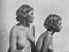 Fig. 13. Young Women, Arunta Tribe, side face