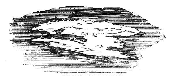 FIGURE 30. <i>The Earth Floating</i>.<br> (From <i>Flammarion's Astronomical Myths</i>, 1877.)