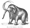 FIG. 9.—THE MAMMOTH. (After Jukes.)