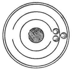 FIG. 144.—Maze Toy by A. Brentano. (After Patent Specification.)