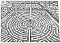 FIG. 73.—Floral Labyrinth (De Vries)