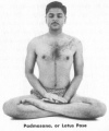 Padmasana, or Lotus Pose
