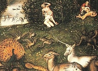 Cover for The Unicorn: A Mythological Investigation