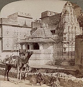 Cover for The Web of Indian Life