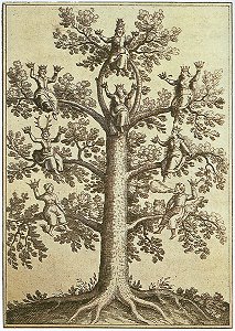 Cover for The Cabala