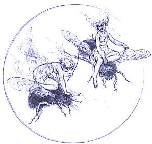 Cover for The Fairy Mythology