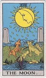 Cover for Fortune-Telling by Cards