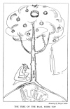 THE TREE OF THE BAAL SHEM TOV. Drawing by Meyer Levin