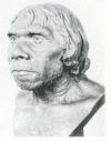47 (right, below): Reconstruction of head of a Neanderthaler. (University Museum, University of Pennsylvania)