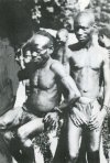 49: African Negrillos (Pigmies). (University Museum, University of Pennsylvania)