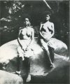50: Negrito girls, Philippine Islands. (University Museum, University of Pennsylvania)