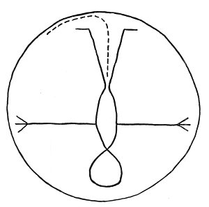 FIGURE REPRESENTING TAMAIAWOT, THE EARTH, THE MOTHER OF ALL.<BR>
 Drawn by Pachito, Luiseño of Pauma.