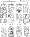 Mayan Hieroglyphs