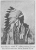 TWO BEARS WITH WAR BONNET<br> OF EAGLE FEATHERS<br> TIPPED WITH HORSE HAIR.
