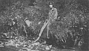 ELSIE SEATED ON THE BANK ON WHICH THE FAIRIES WERE DANCING IN 1917 (PHOTO 1920)