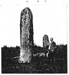 FIG. 29.—Menhirs of St. Dourzal, D, E, F.