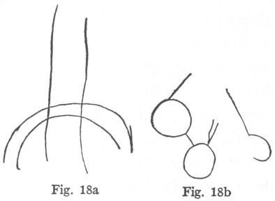Fig. 18a Fig. 18b