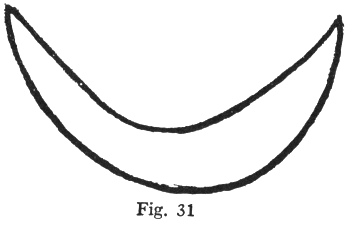 Fig. 31