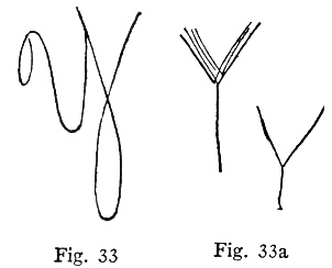 Fig. 33, Fig. 33a