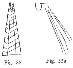 Fig. 35, Fig. 35a