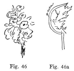 Fig. 46, Fig, 46a