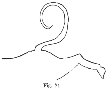 Fig. 71