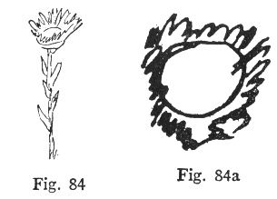 Fig. 84, Fig. 84a