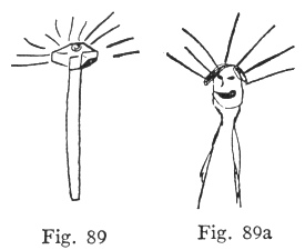 Fig. 89, Fig. 89a