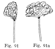 Fig. 91, Fig. 91a