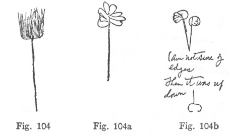 Fig. 104, Fig. 104a, Fig. 104b