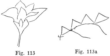 Fig. 113, Fig. 113a