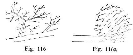 Fig. 116, Fig. 116a