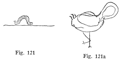 Fig. 121, Fig. 121a