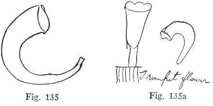 Fig. 135, Fig. 135a