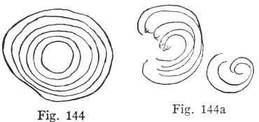 Fig. 144, Fig. 144a