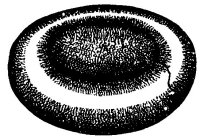 Fig. 26.