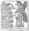 FIG. 79. ASSYRIAN BAS-RELIEF. (PERROT et CHIPIEZ. Histoire de l’Art antique, vol. ii., f. 8.)