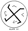 PLATE XI